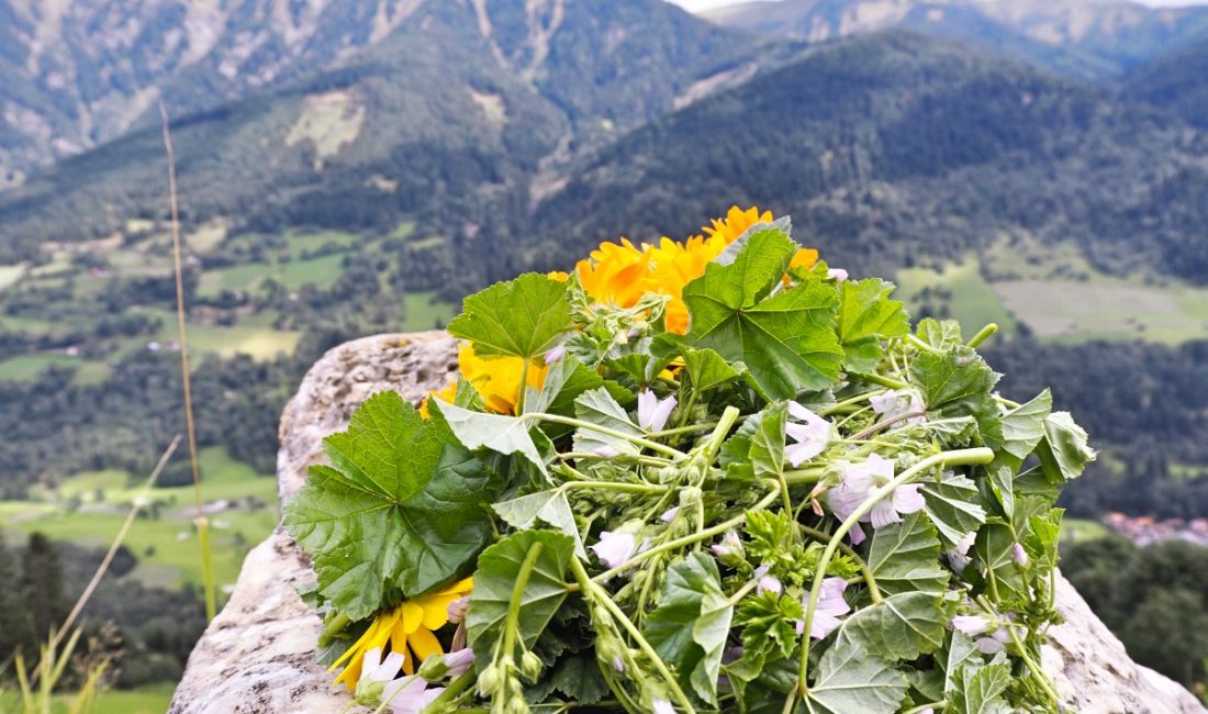 Bauernherbst Gastein