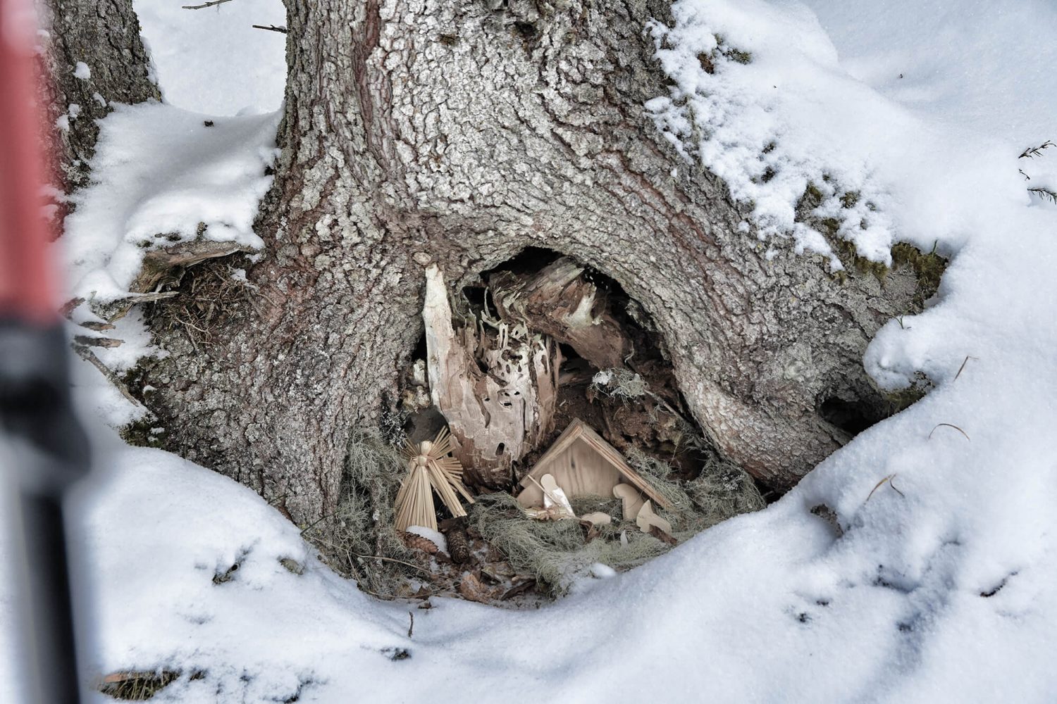 Krippe im Wald bei einem Baumstamm am Weg zum Gipfel