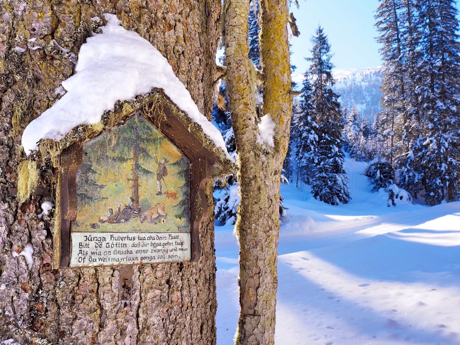 Mittelalter am Baum in einer Winterlandschaft in GasteinFoto: Kristina Erhard