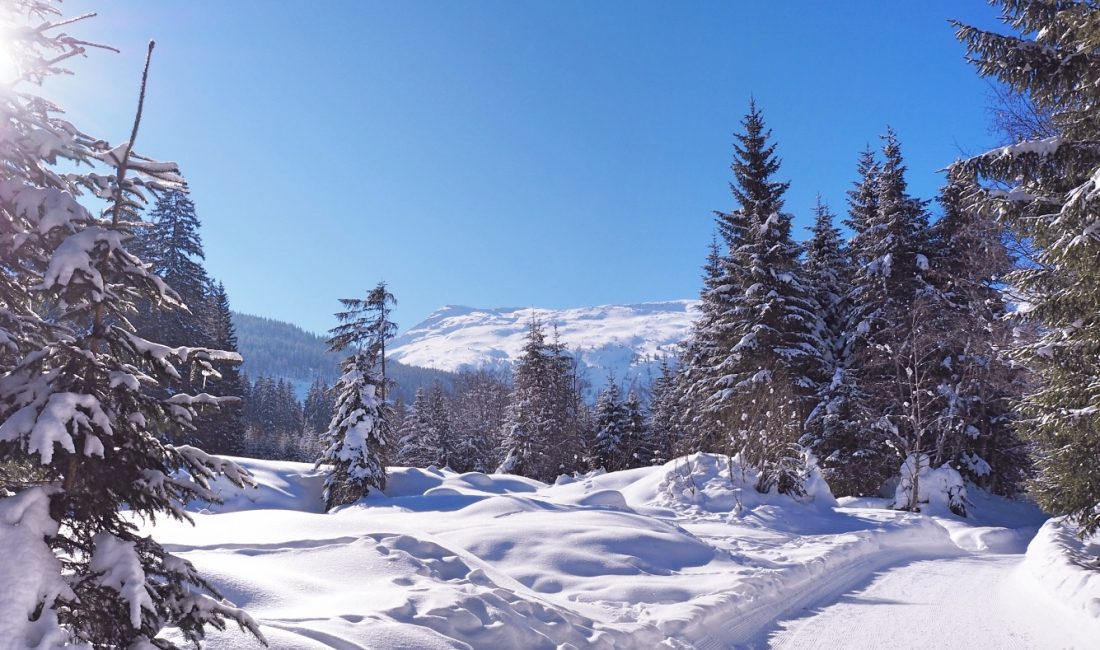 Winterwandern Angertal, Foto: Kristina Erhard