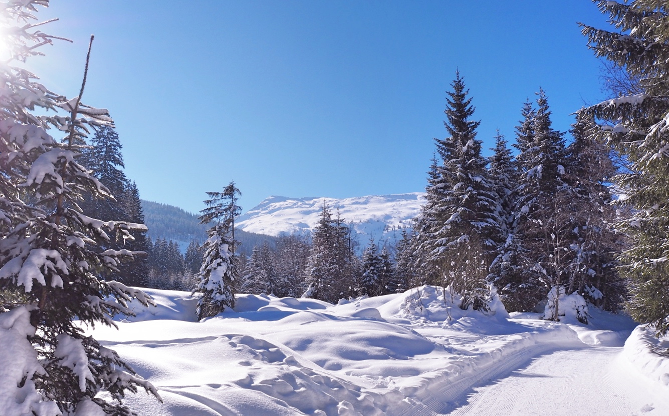 Winterwandern Angertal, Foto: Kristina Erhard