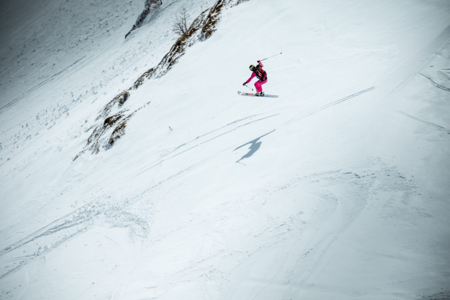 Die Line der Freerider, Foto: Moritz Ablinger