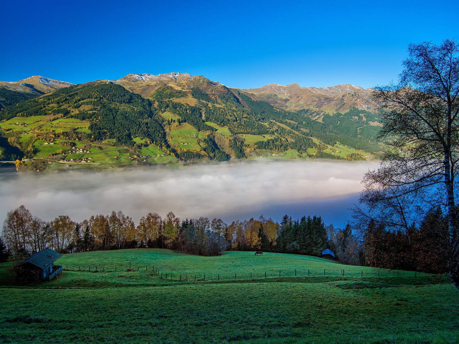 Nebel im Tal