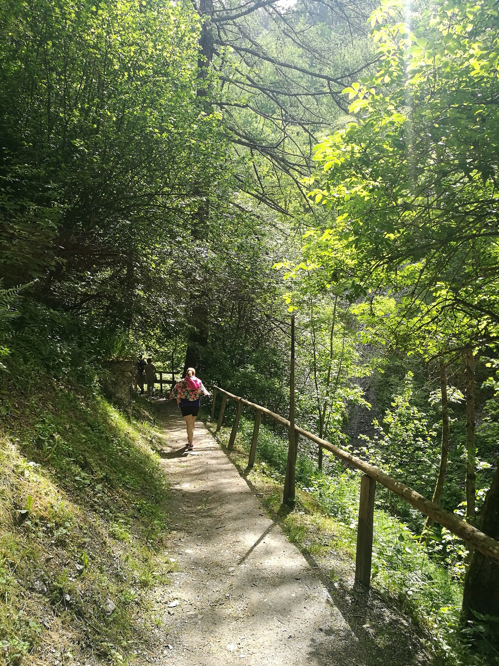 eine Frau auf einem Wanderweg im Wald