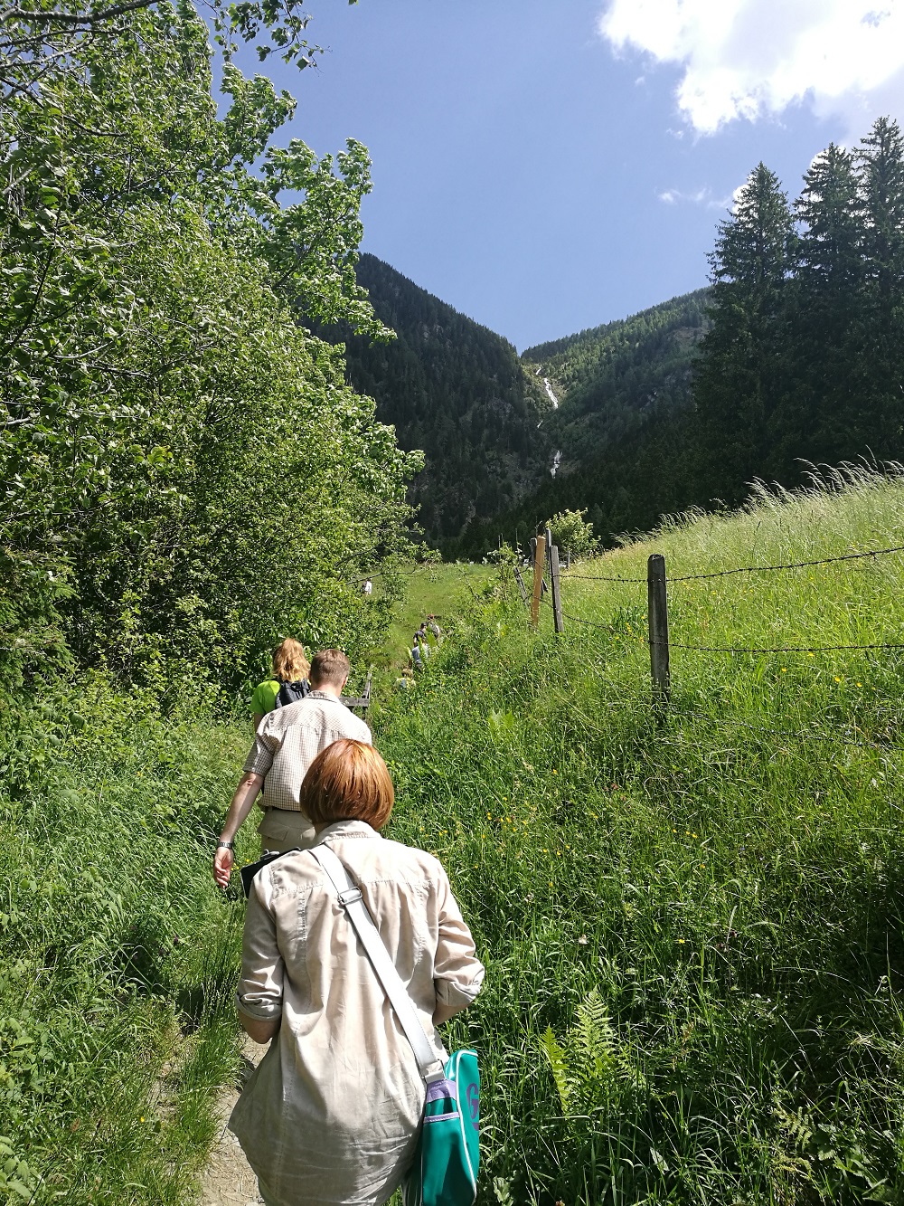 Eine Wanderung auf einer Lichtung