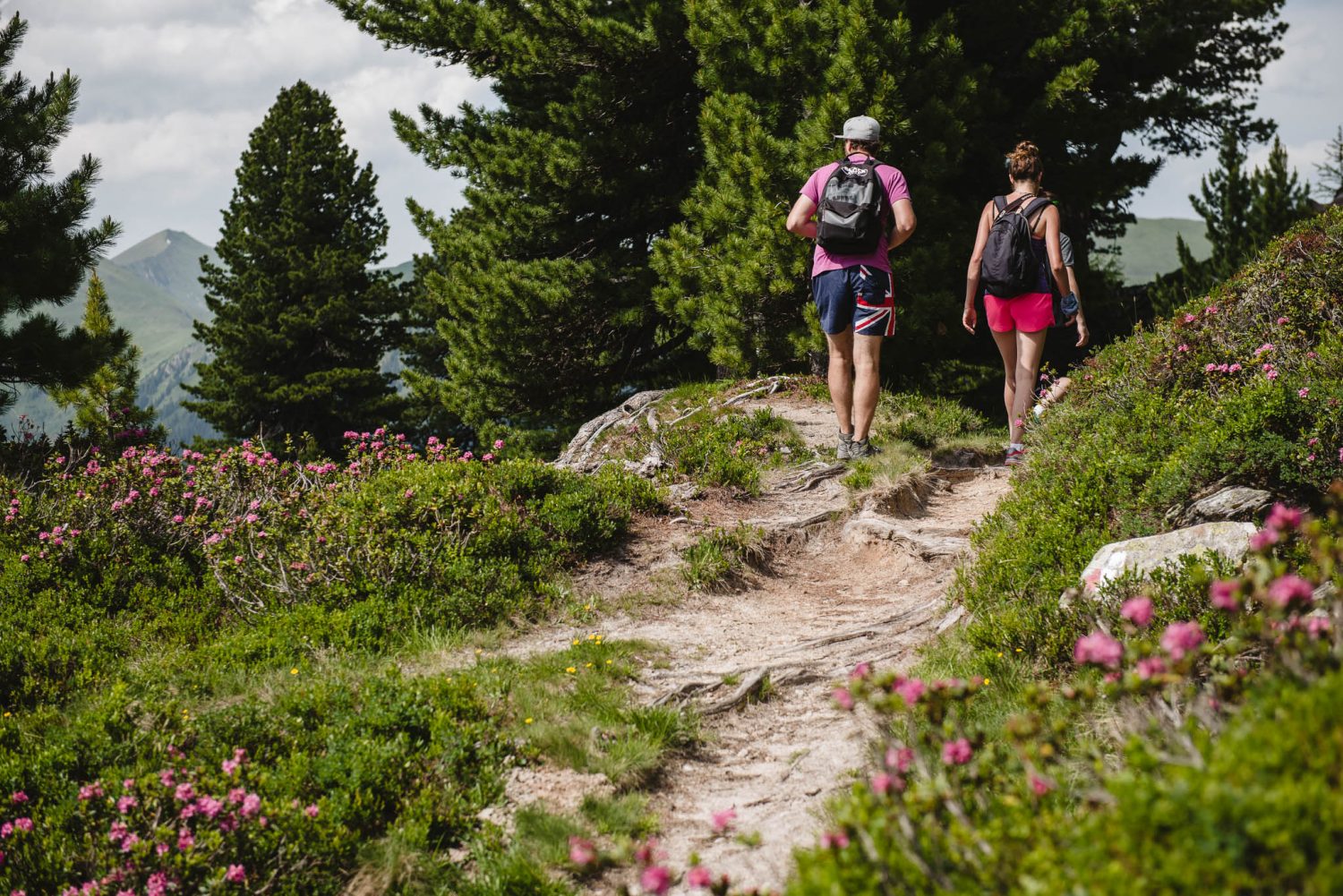 Almenwanderung Sommer Gastein