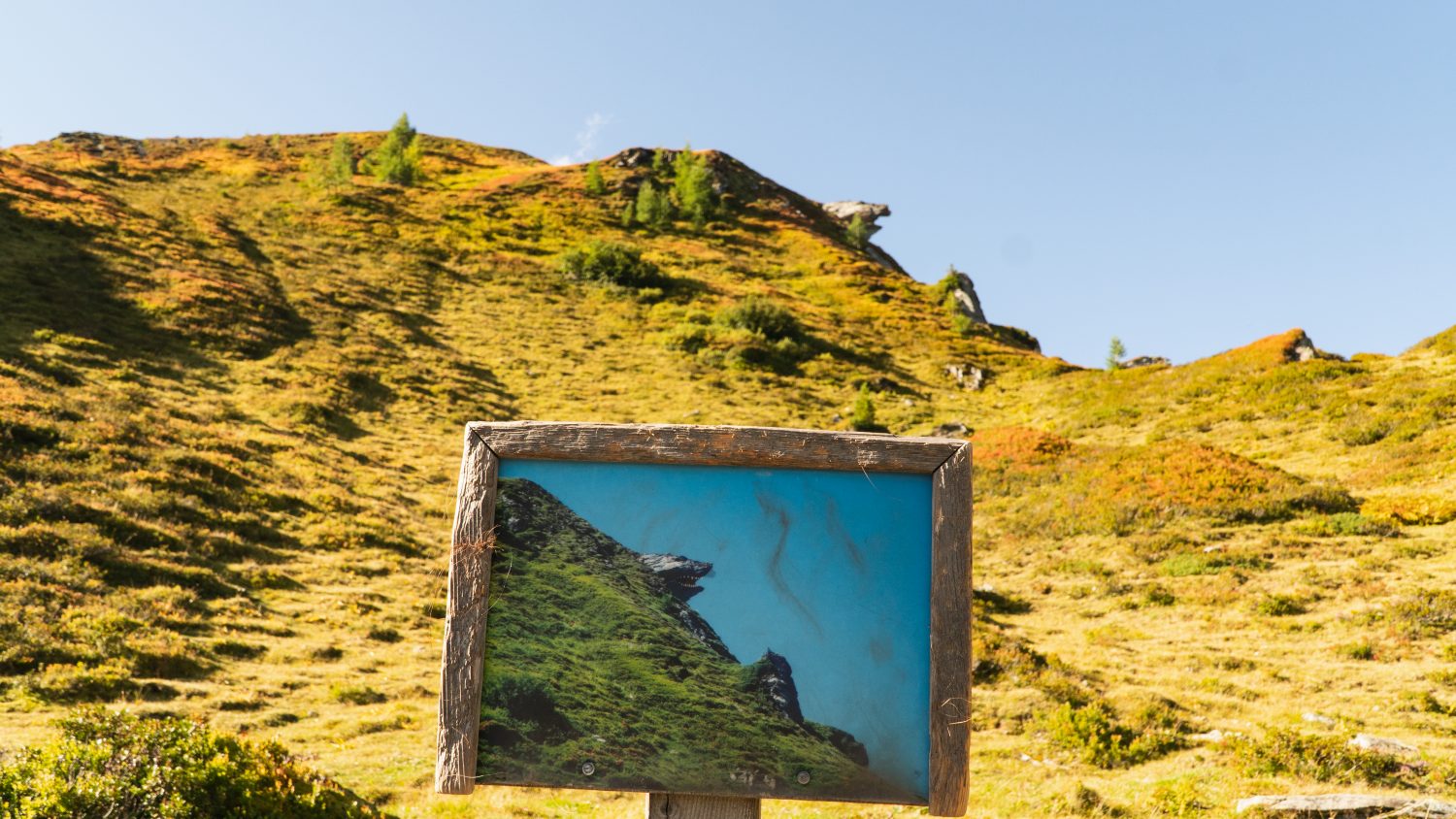 Felsenwesen auf der Schlossalm