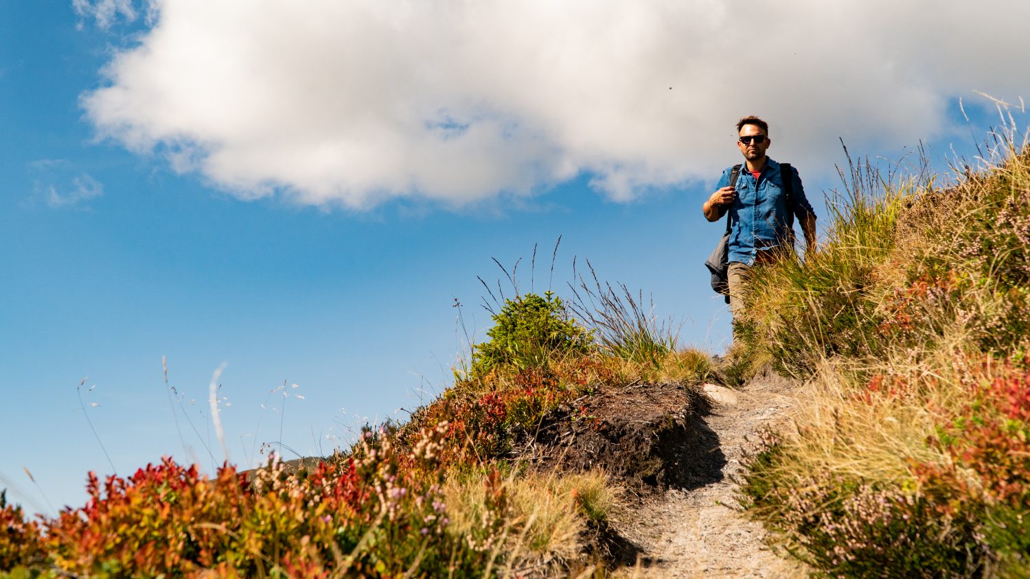 Wanderer am Gastein Trail