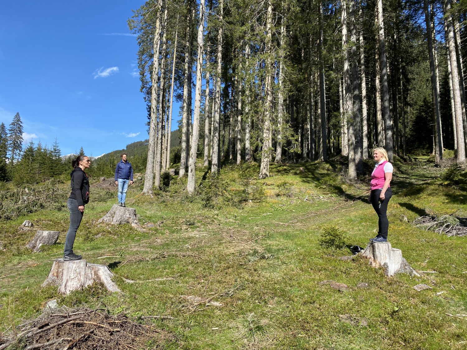 Feld Angertal Bad Hofgastein Waldbaden