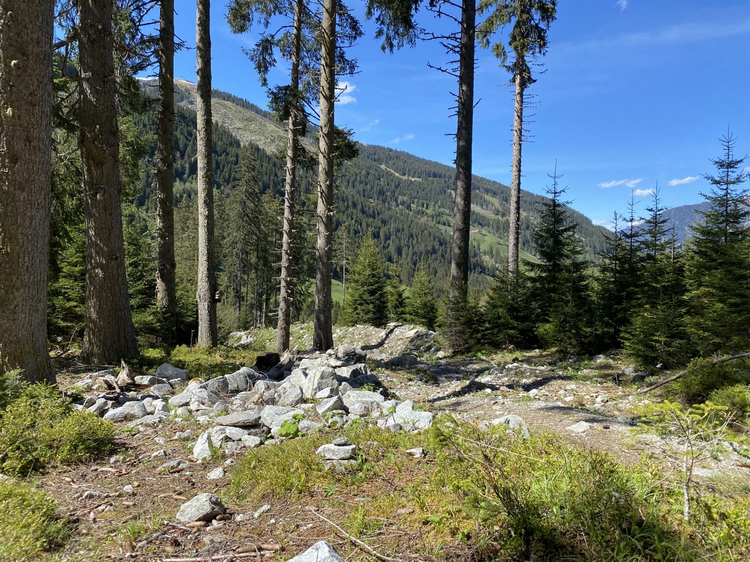 Geröllfeld Bad Hofgastein Angertal