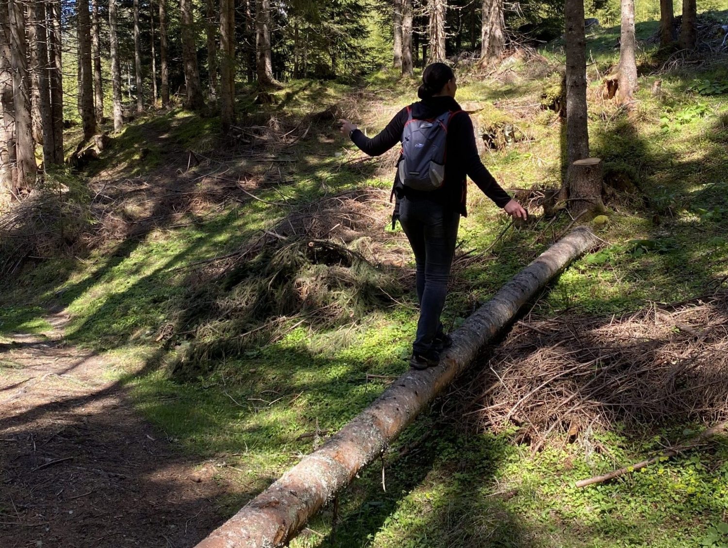 Balance am Baum Waldbaden Angertal Bad Hofgastein