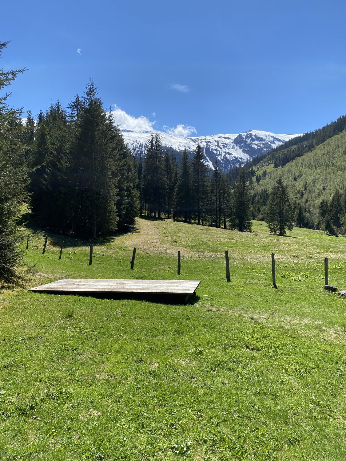 Zentrumswiese Waldbaden Angertal Bad Hofgastein