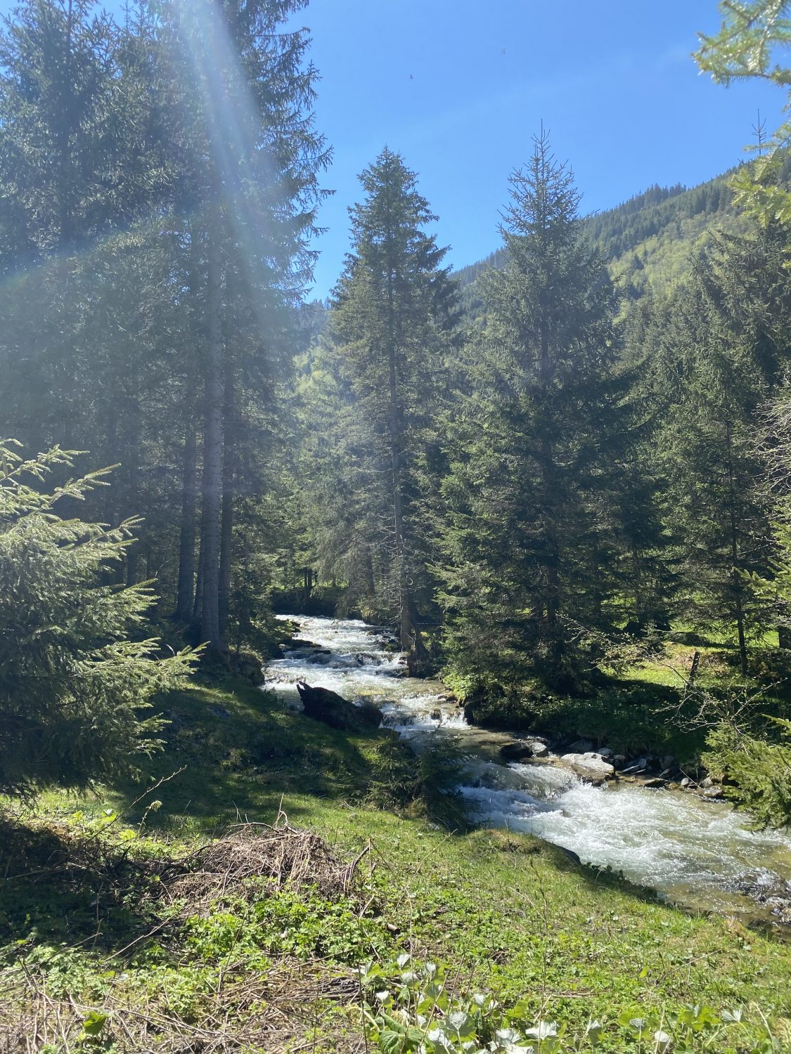 Waldbaden im Angertal Bad Hofgastein