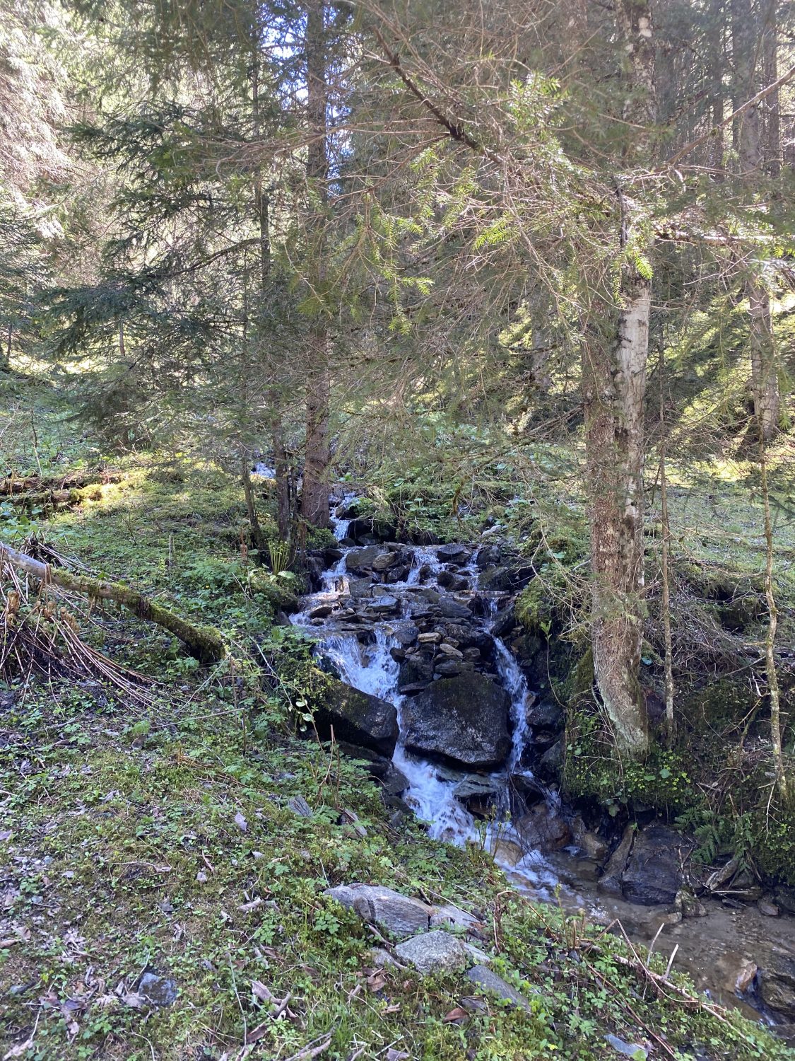 Waldbaden im Angertal Bad Hofgastein