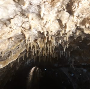 Stalaktiten im Stollen der Rudolfsquelle