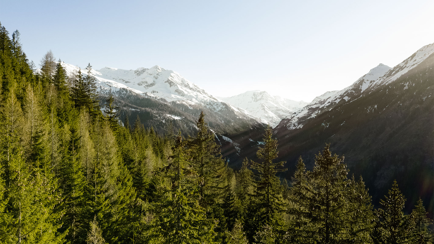 Ausblick auf die Gasteiner Bergwelt mit verschneiten Bergen und grünen Bäumen