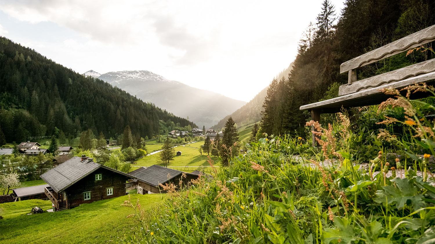 Ausblick auf das Gasteinertal mit der grünen Natur und den Bergen