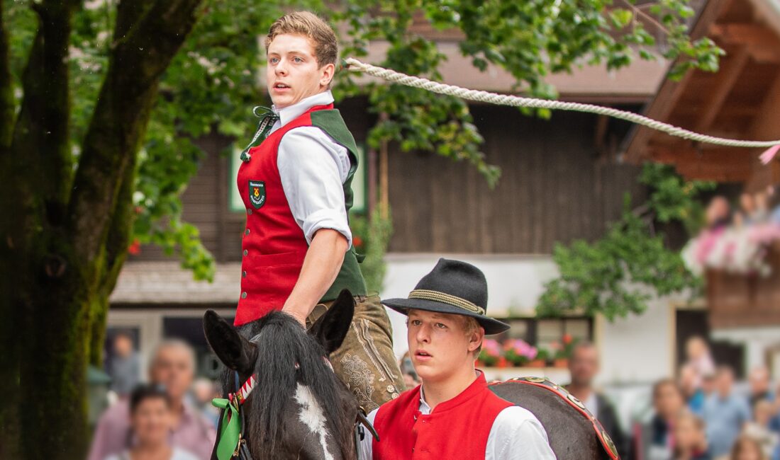 Peitschenschwünge hoch zu Ross