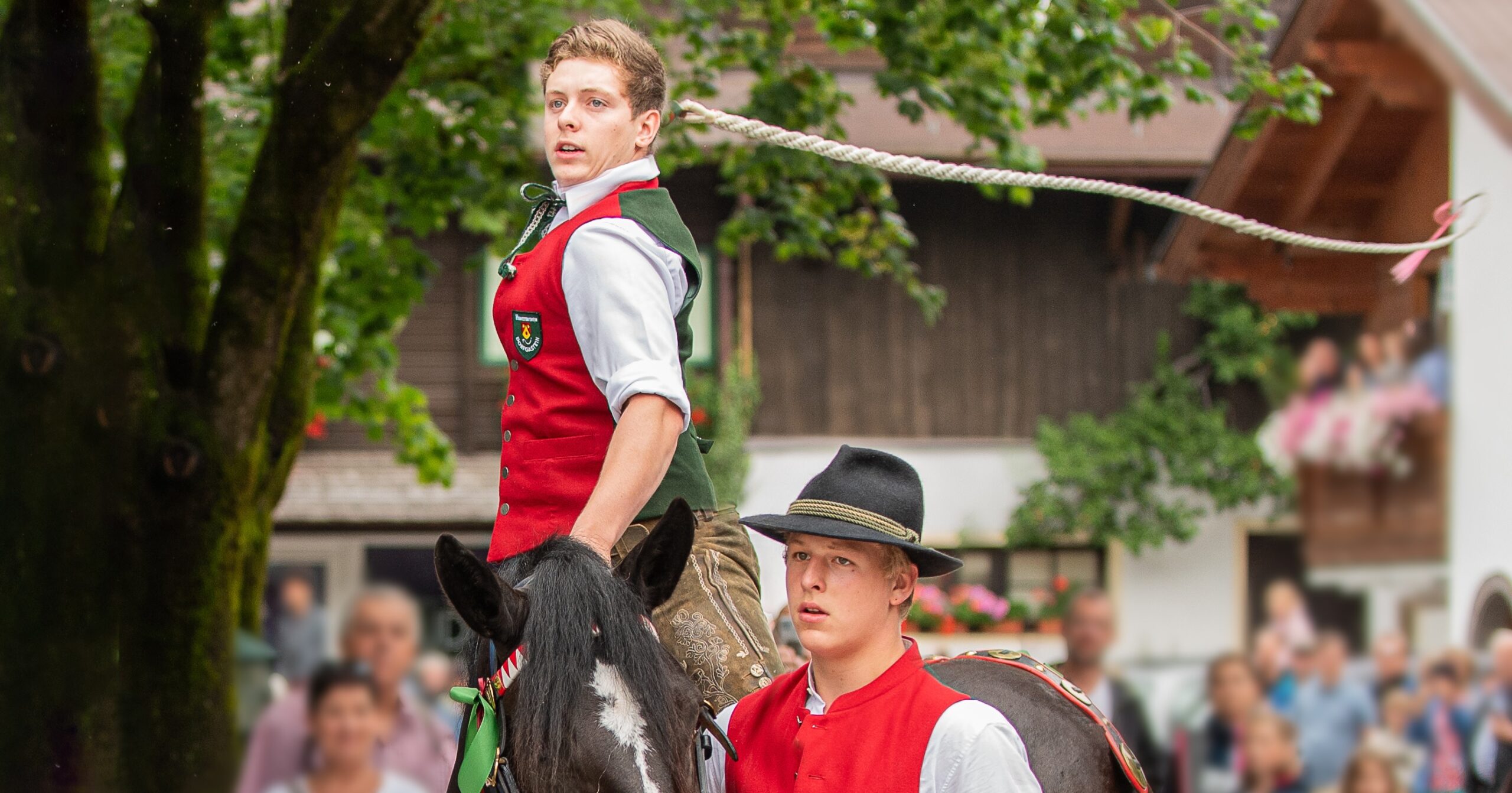 Peitschenschwünge hoch zu Ross