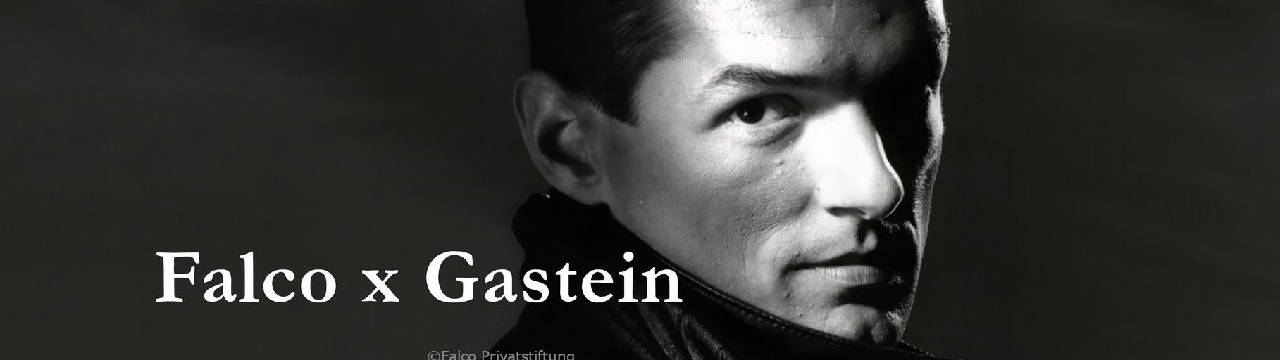 ©Falco Privatstiftung