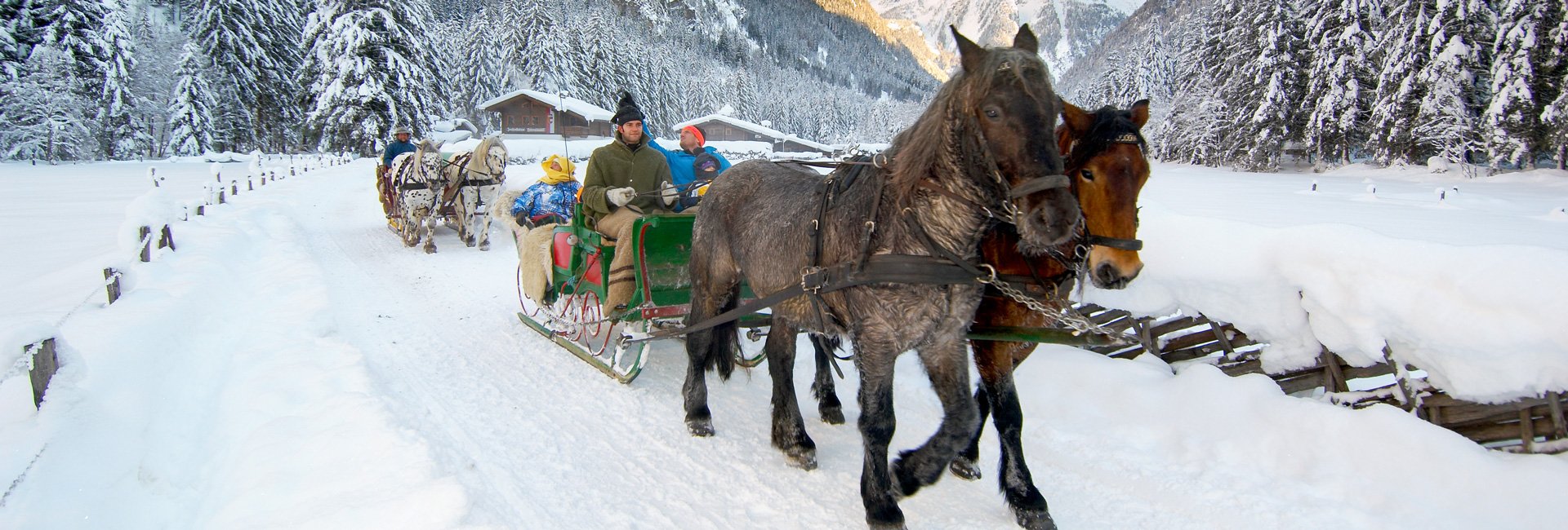 Pferdeschlittenfahrt durch Gastein