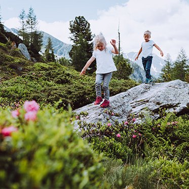 Familie am Zirbenweg am Graukogel