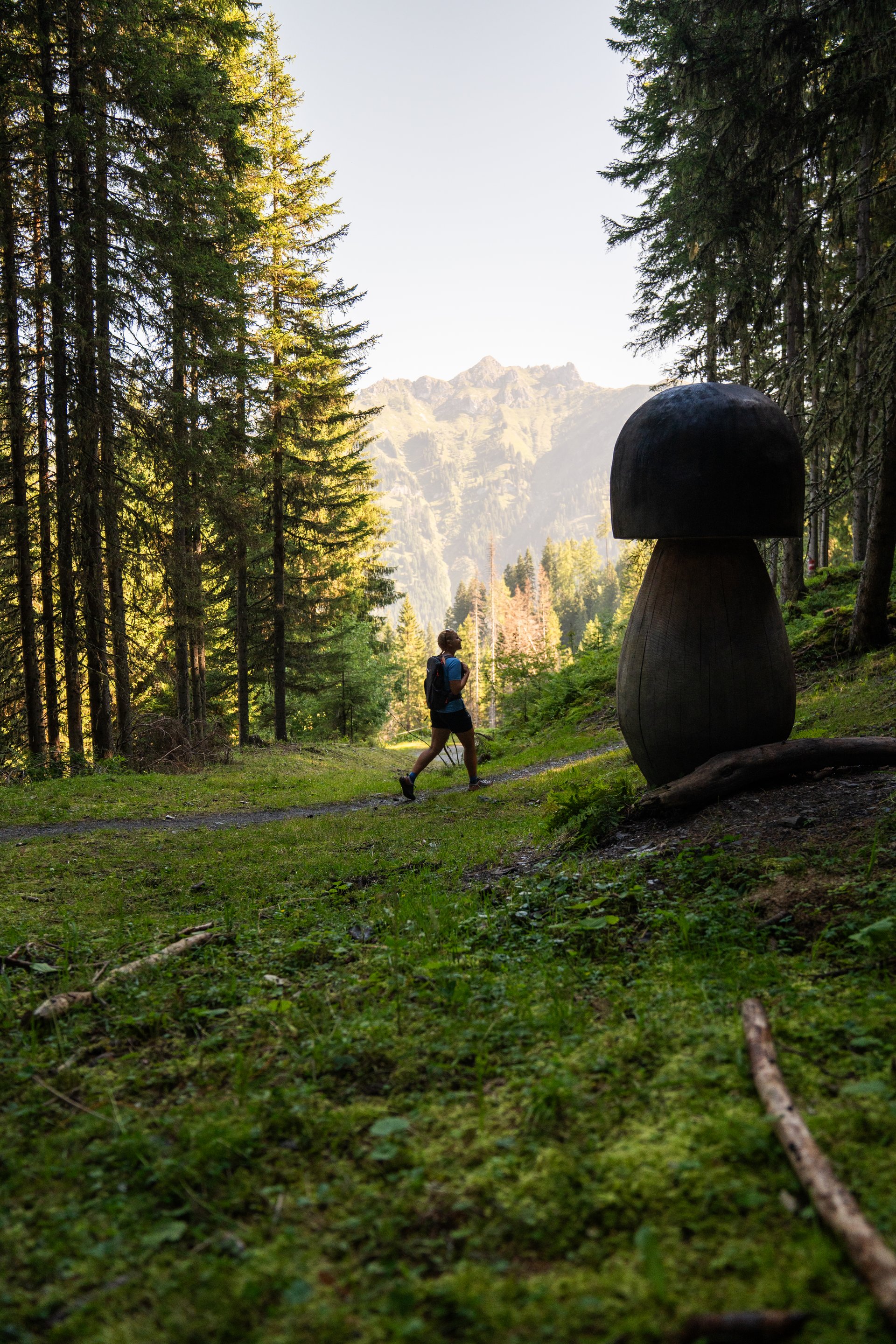 Der Pilzweg in Dorfgastein am Fulseck ist seht lehrreich