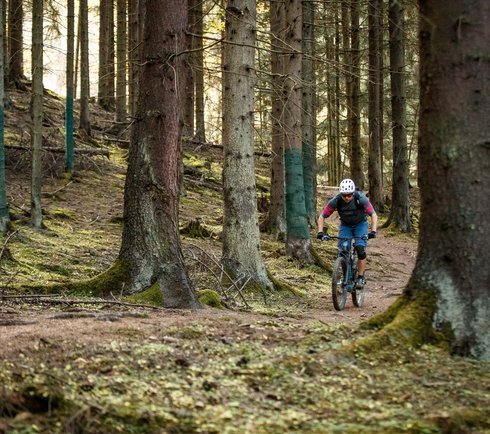 Mountain biking