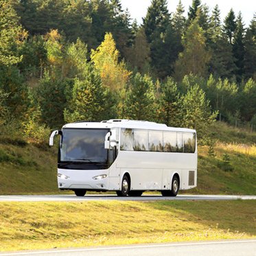 Bus auf einer Landstraße
