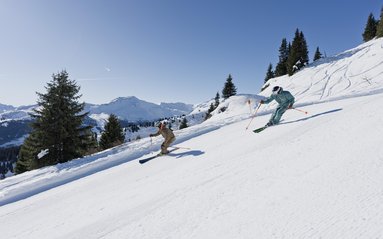 Winter pur Skiverknügen