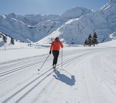 Cross country ski trails in deep snowy landscape