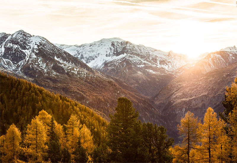 Herbstliches Bergpanorama im Gasteinertal mit goldgelben Nadelbäumen und schneebedeckten Gipfeln im warmen Abendlicht bei mystischer Stimmung.