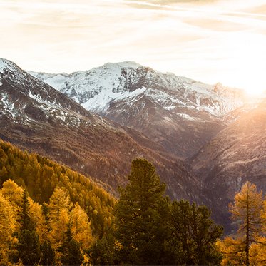 Herbstliches Bergpanorama im Gasteinertal mit goldgelben Nadelbäumen und schneebedeckten Gipfeln im warmen Abendlicht bei mystischer Stimmung.