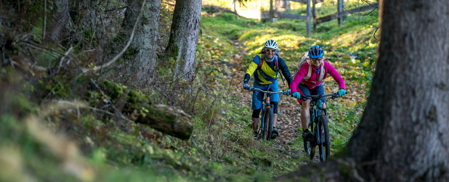 Mountainbiker im Wald in Gastein