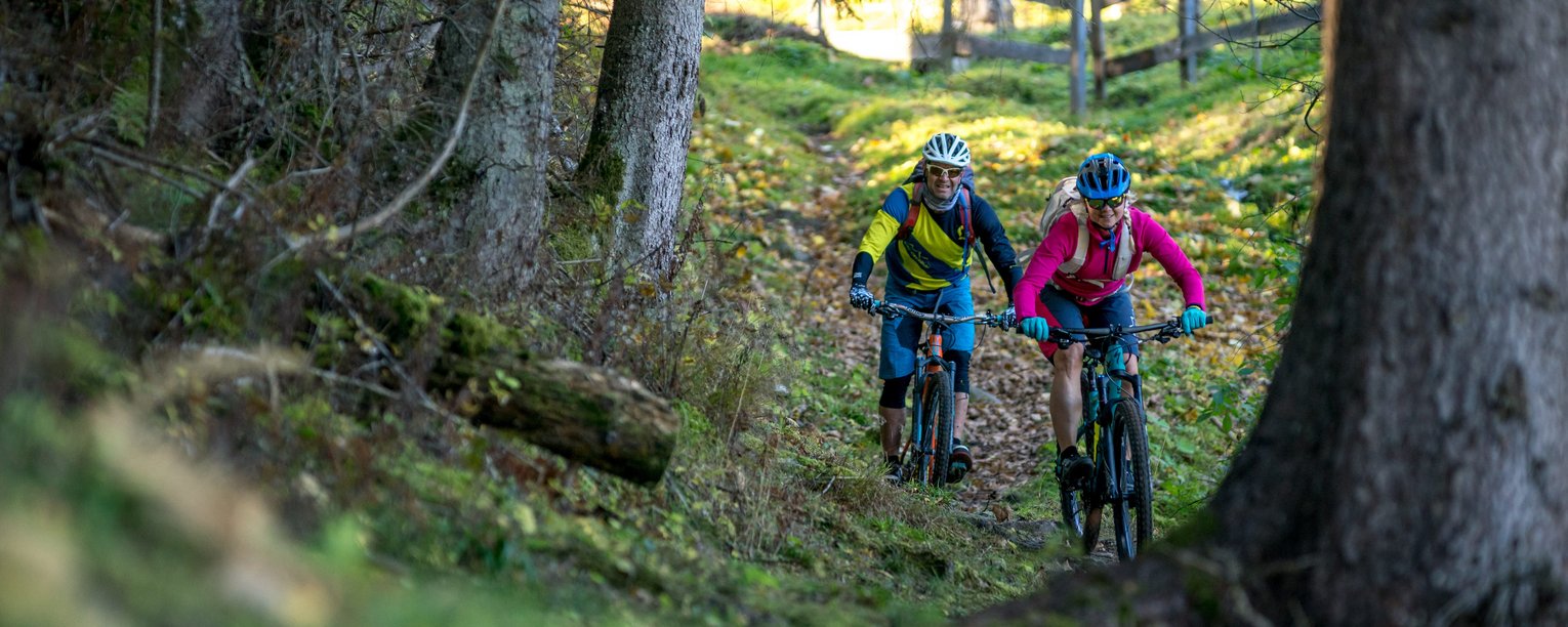 Amd mountain bikes deals