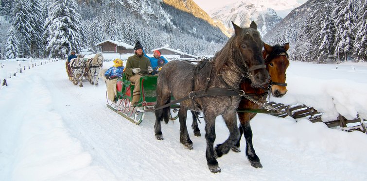Pferdeschlittenfahrt durch Gastein