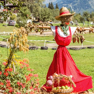 Strohpuppe im Dirndl auf dem Feld