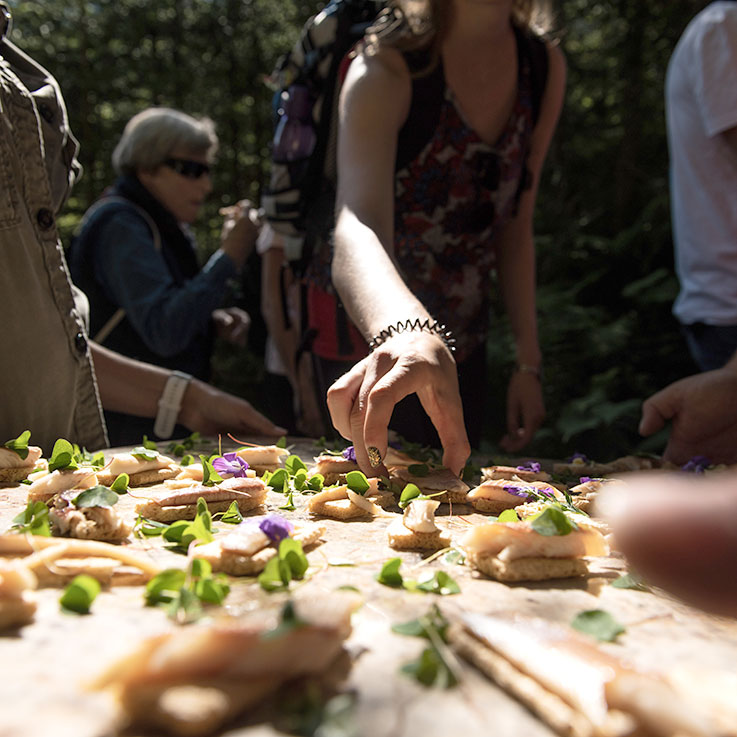 Cucina alpina e specialità regionali