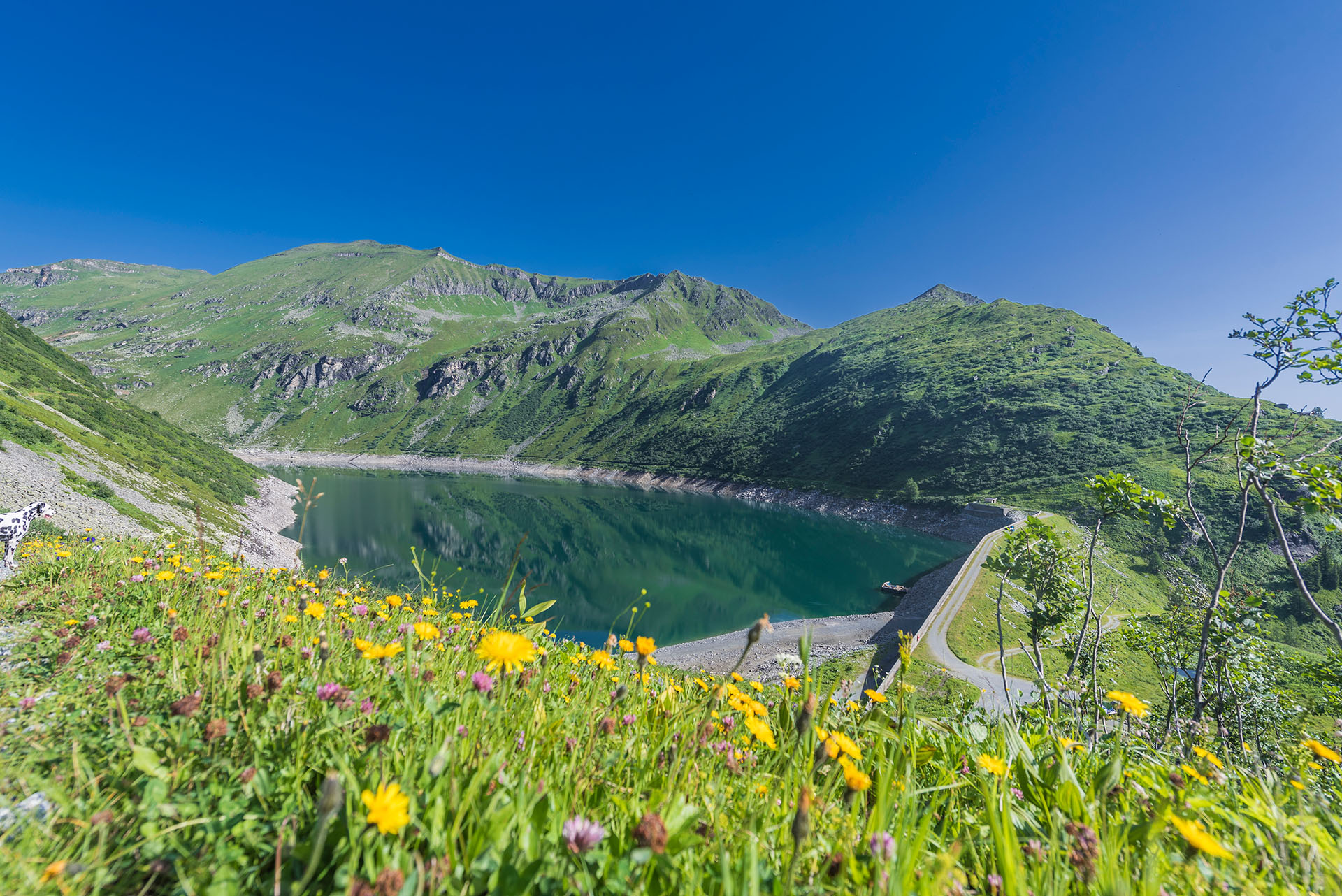Erlebnisberg Schlossalm