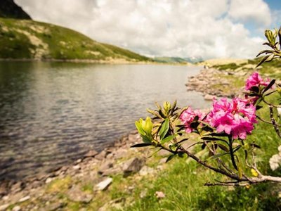 Palfnersee 1