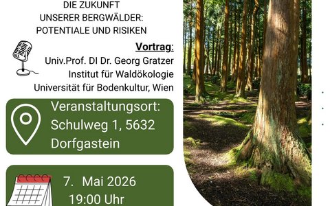 Vortrag-Bergwald-PotentialeRisiken.jpg