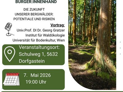 Vortrag Bergwald Potentiale+Risiken