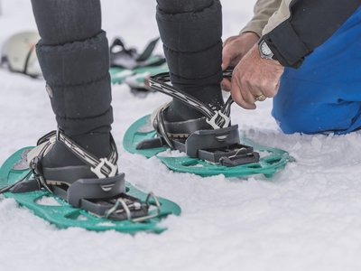 Schneeschuh2