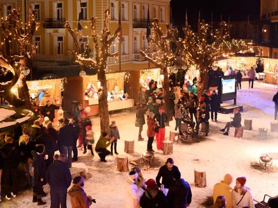 Wintermarkt im Merangarten