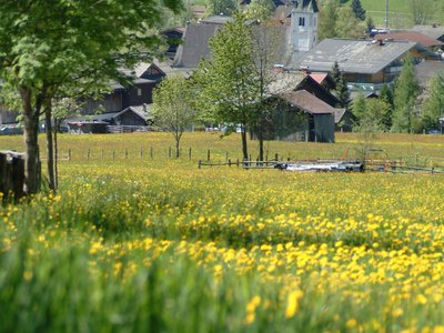 Ausblick Kirche