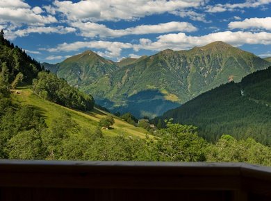 Felding Alm Sendlhofer Bad Hofgastein Panorama