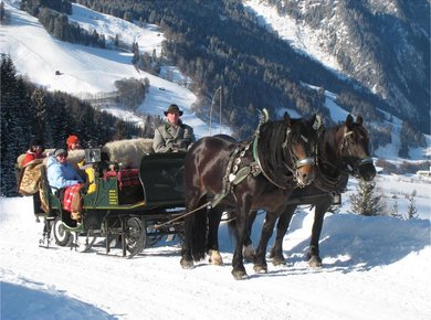 Pferdeschlitten Berger Torbauer