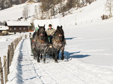 Pferdeschlitten Dorfgastein