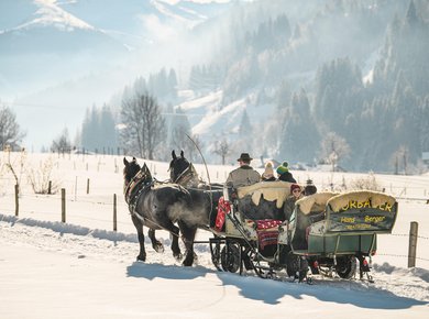 Pferdeschlitten Fam. Berger