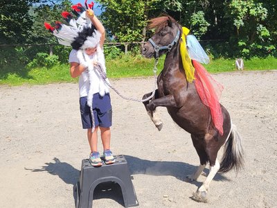 Pony2